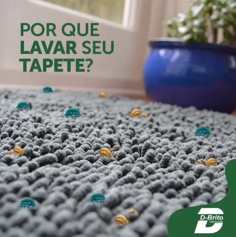 Limpeza e Higienização de Tapetes